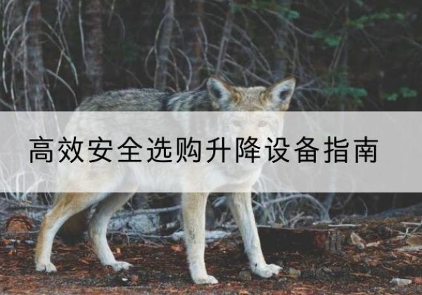托克托升降货梯厂家推荐-*安全选购升降设备指南