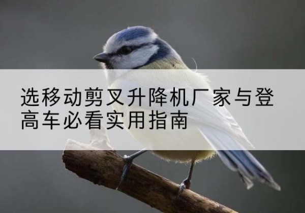 托克托电动升降机厂家-选移动剪叉升降机厂家与登高车必看实用指南
