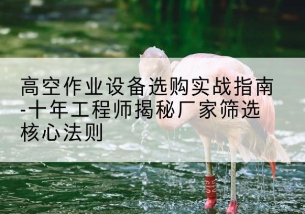 托克托剪叉式升降机厂家-高空作业设备选购实战指南-十年工程师揭秘厂家筛选核心法则